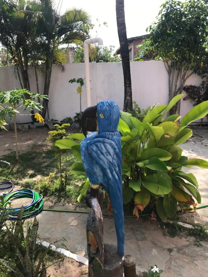 A Arca Pousada Praia de Pipa Exterior foto