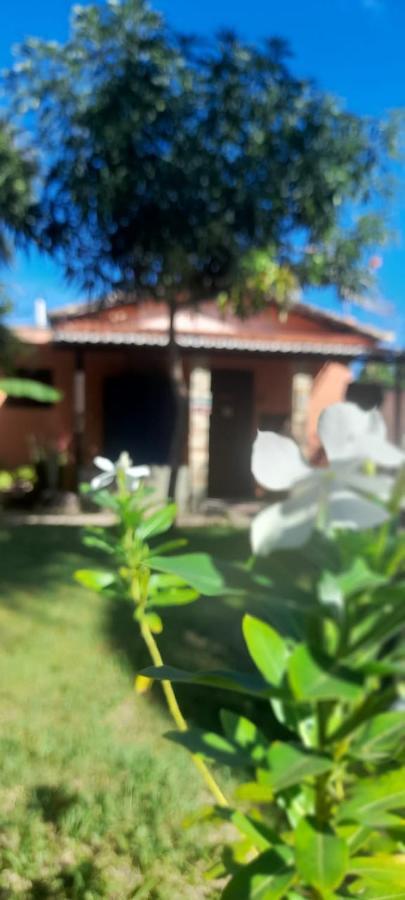 A Arca Pousada Praia de Pipa Exterior foto